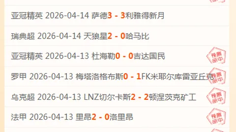 罗塞尼尔谈比赛：重创未出局